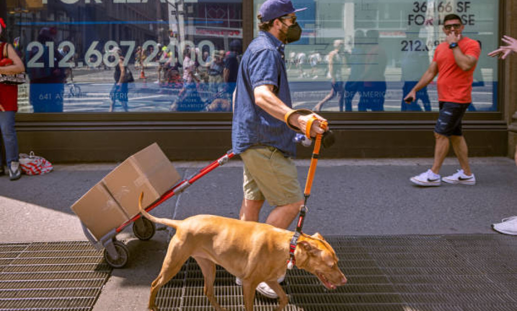 How General Pet Care Service Saves You Time and Stress Daily
