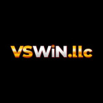 VSWIN