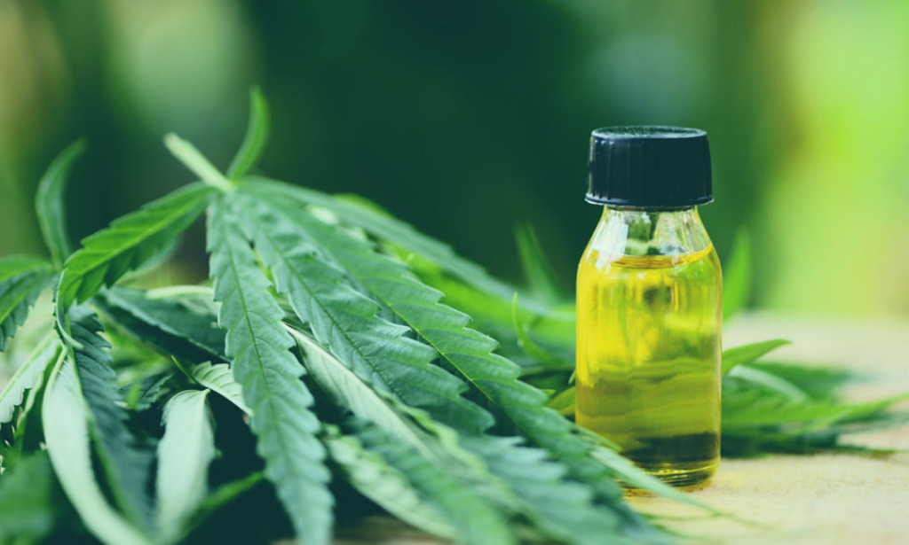 How Natural Compounds Influence the Body’s Endocannabinoid System?