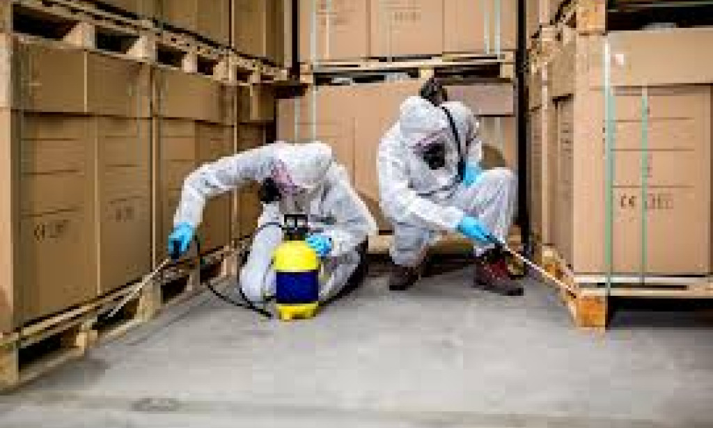 Top Affordable and Effective Pest Removal Specialists Serving Brooklyn