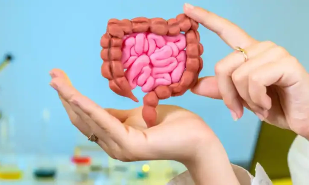 Naori Symbiotics United Kingdom: How It Supports Gut Health Naturally