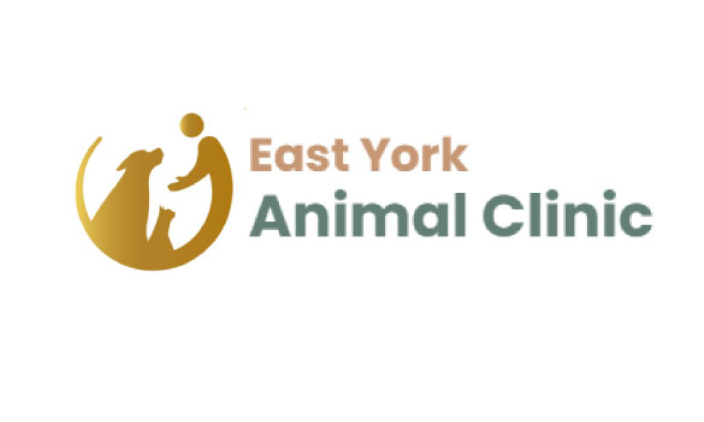 How an Animal Nutritionist in East York Can Keep Your Pets Healthy