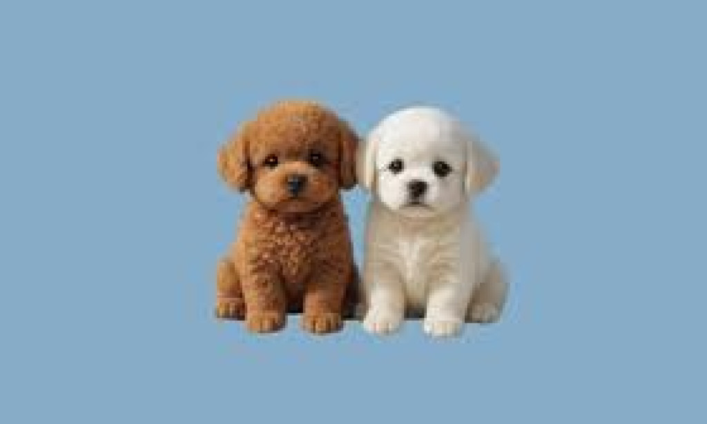 What Is A Why Wuffy Robot Dog is the Perfect Pet for Modern Homes The Ultimate Tech Toy for Kids and Adults!