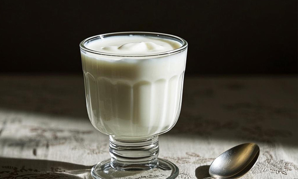 Gelatin Used in Dairy Products top 10