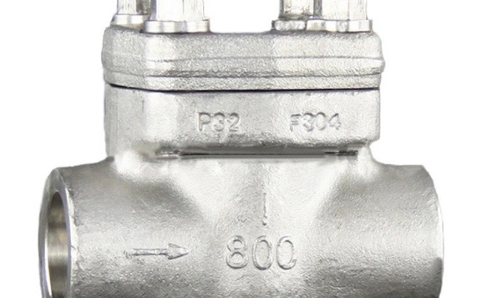 top 20 Forged Steel Check Valve