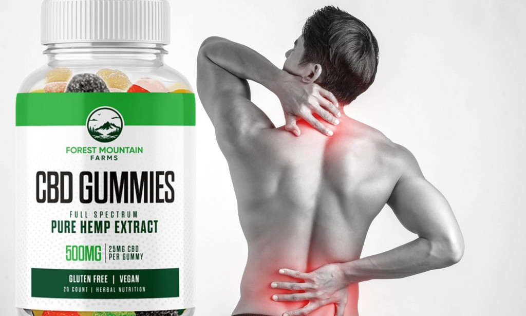 Forest Mountain Review: Improve Sleep Quality and Reduce Daily Stress : How It Works and What to Expect