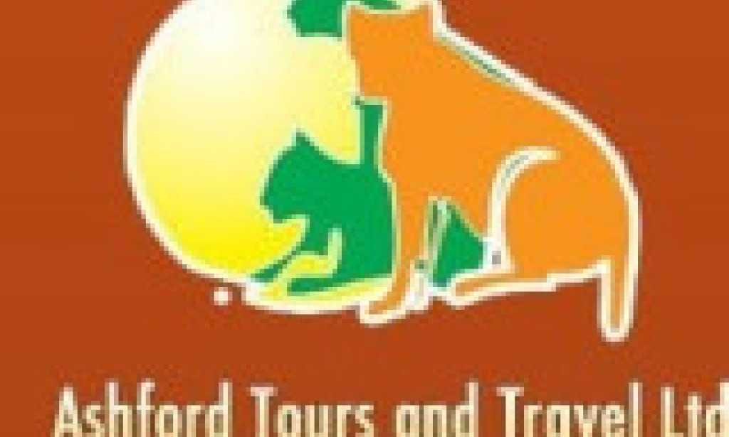 How to Choose the Best Wildlife Safari Tours for Your Vacation