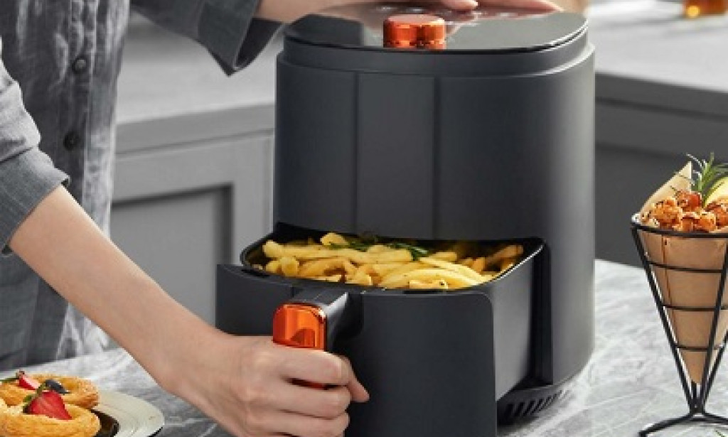 Top Gaabor Smokeless Air Fryer Aims at a Healthier Eating Experience