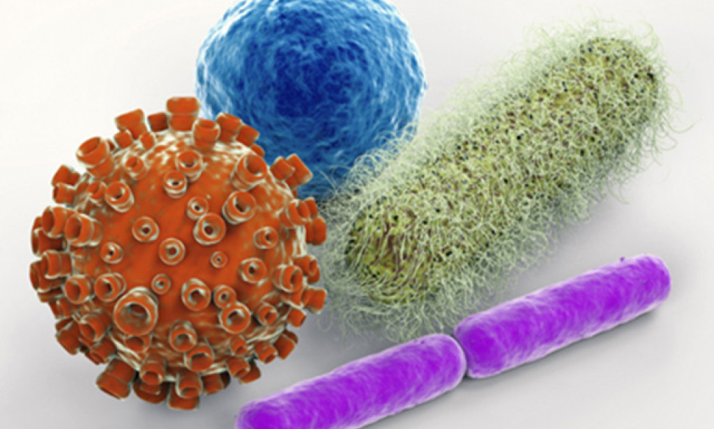 Unveiling the Microbial World: The Power of Whole Genome Shotgun Metagenomics