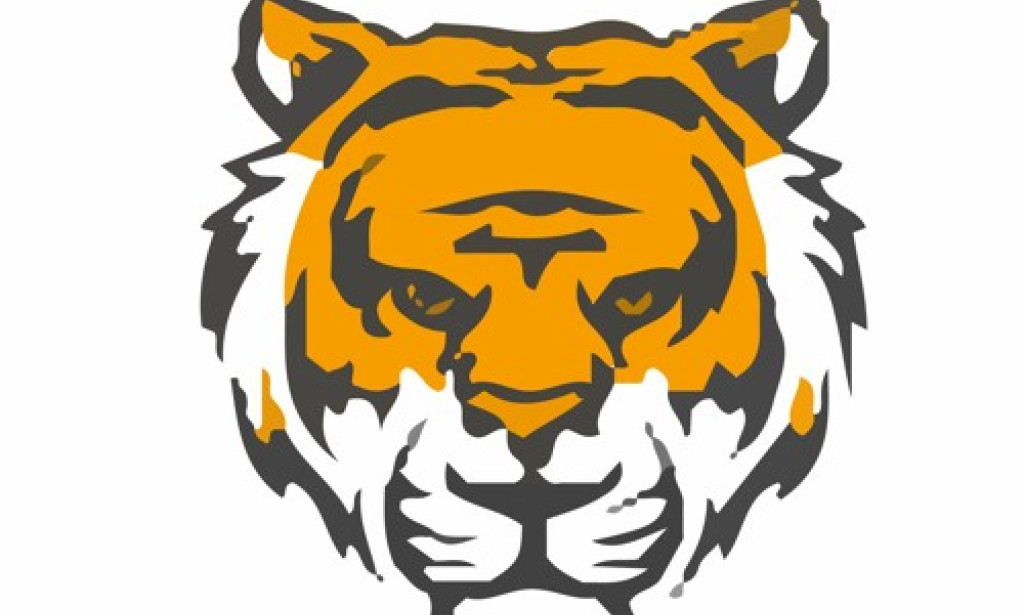 who Tigerexch 365me – Easy Online Cricket Betting Platform for IPL Fans