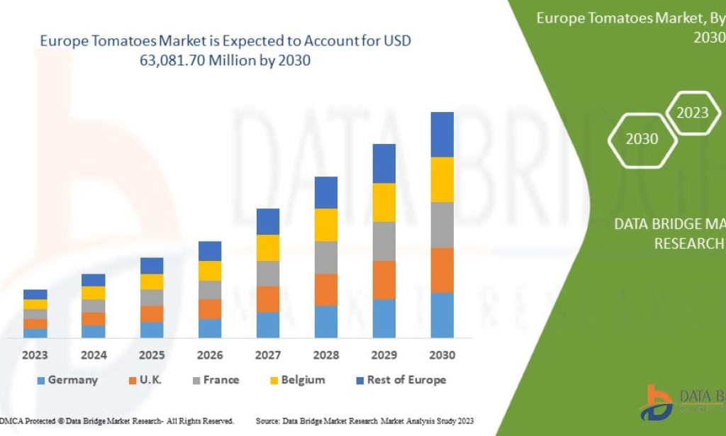 What Is Influencing the Europe Tomatoes Market in the Current Landscape