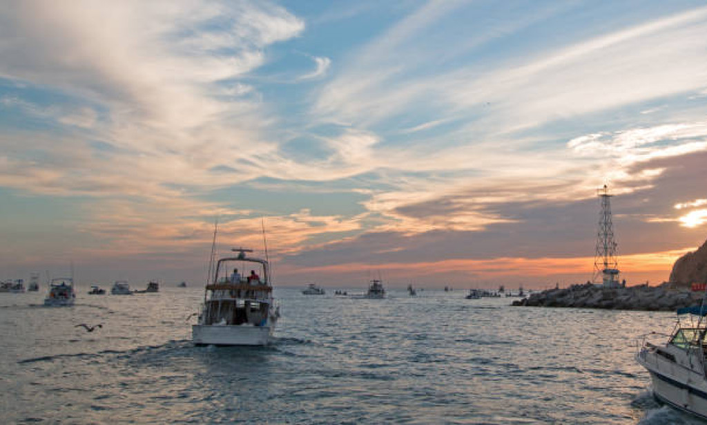 How to Choose the Right Cabo San Lucas Fishing Charter for Your Trip