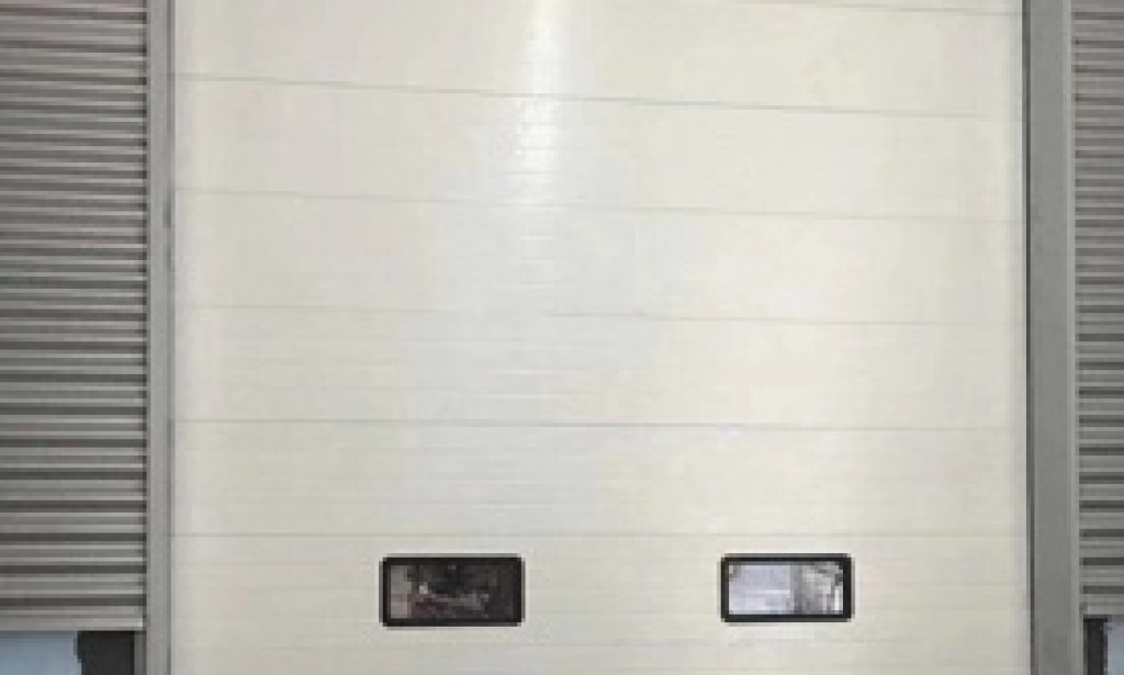 top 20 Cold Storage Vertical Lift Door