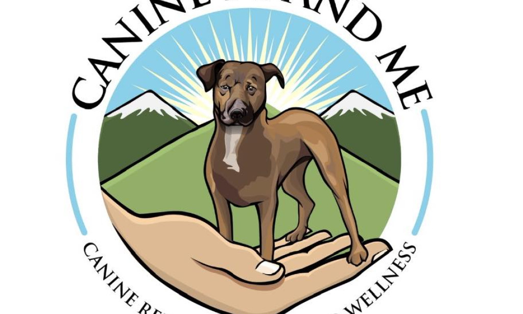 What Is a CCL Tear in Dogs? Signs, Treatment, and Recovery Guide