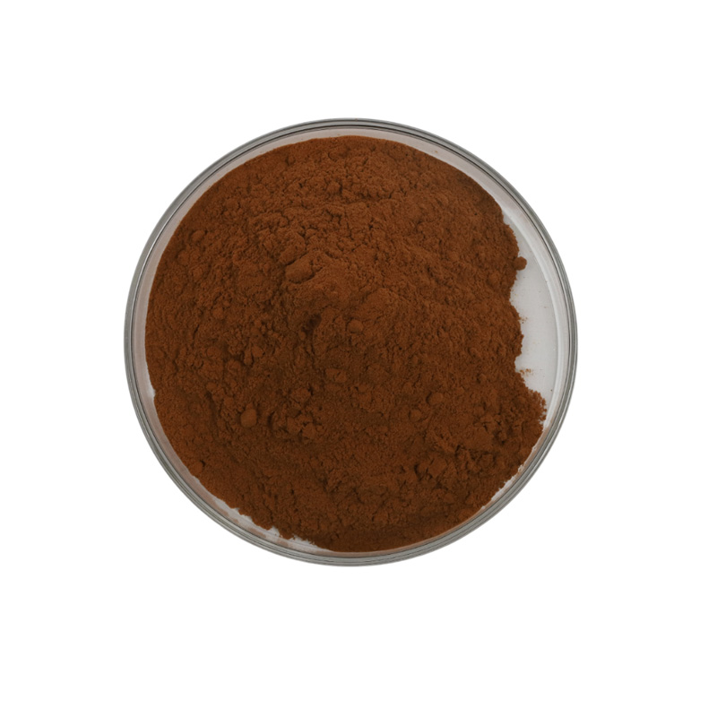 Ginkgo Biloba Extract Ginkgo Biloba Extract