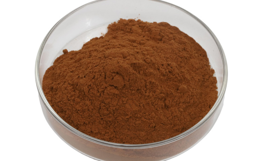 Where 24/6 Ginkgo Biloba Extract Standard: Why CP2020 Matters for Bulk Buyers