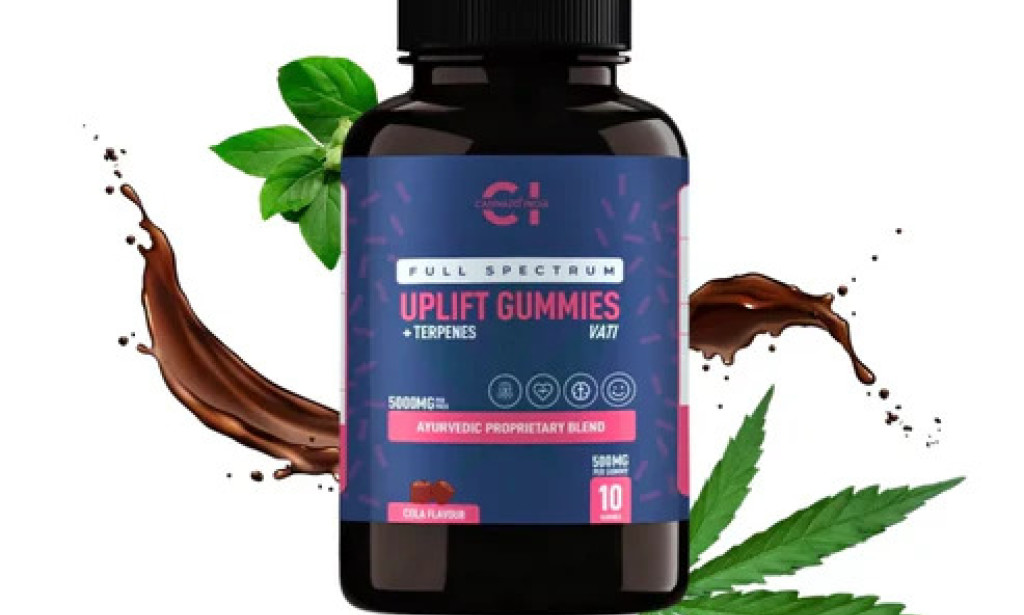 What Makes CBD Gummies a Popular Wellness Supplement Today?