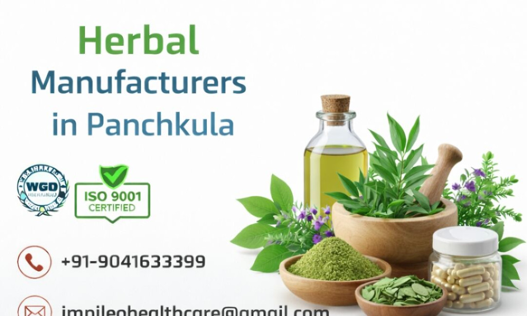 What Makes Herbal Manufacturers in Panchkula Important for the Ayurvedic Industry?
