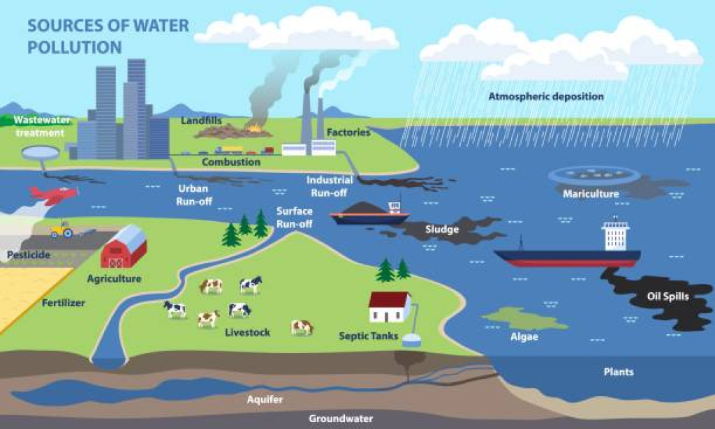 TopAssessing the toxicity of chemical compounds associated with marine land-based fish farms: The use of mini-scale microalgal toxicity tests