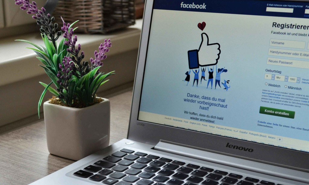 How Search Engine Optimization Consultants Improve Website Performance