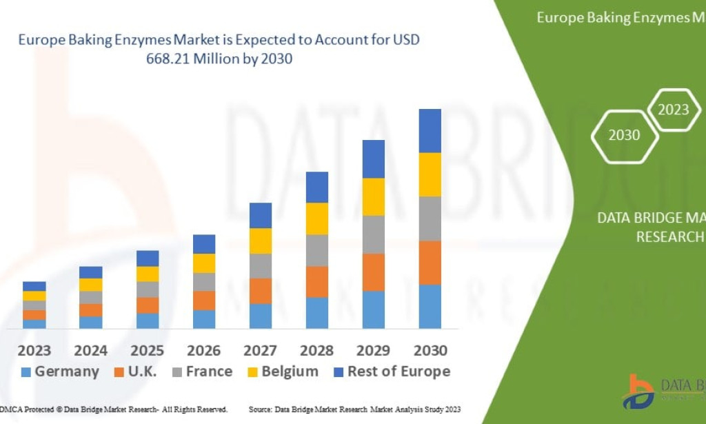 Europe Baking Enzymes Market Is Expanding with Clean Label Innovations