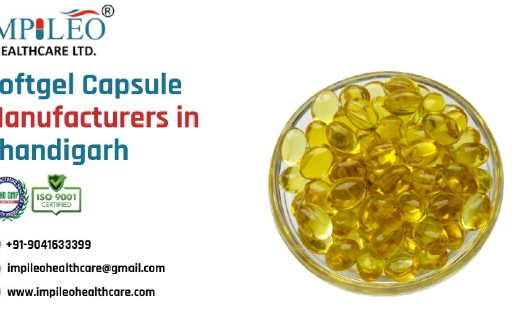 What to Check Before Selecting Softgel Capsule Manufacturers in Chandigarh?