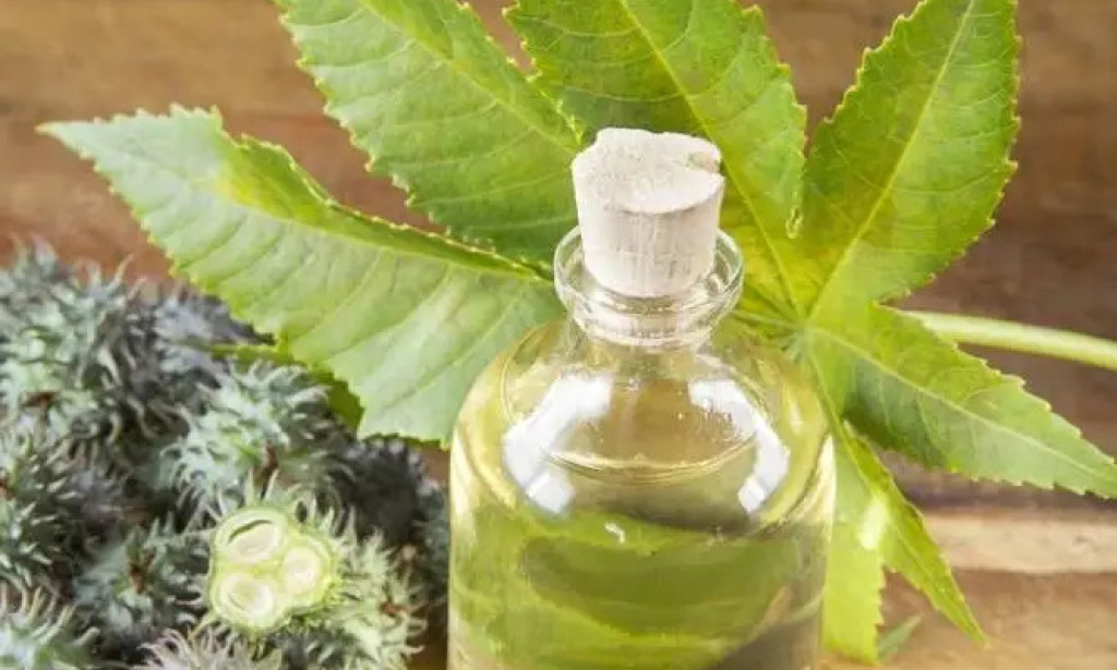 Top Castor Oil Bulk Suppliers for Industrial and Commercial Needs