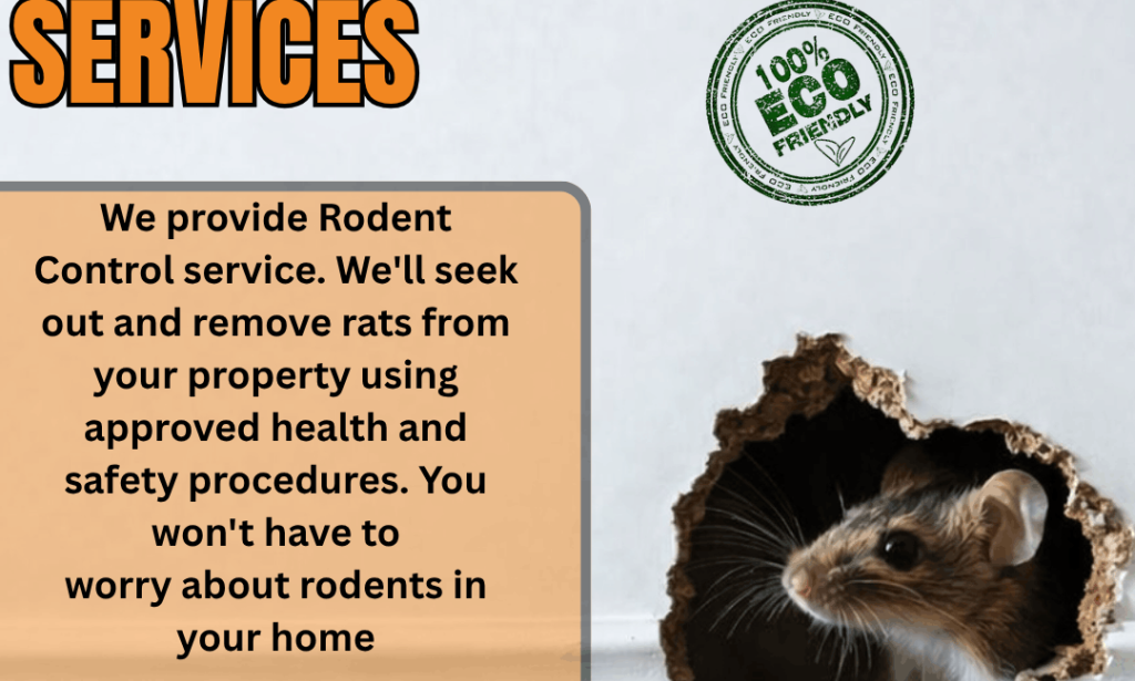 How Regular Pest Inspections Help Prevent Rodent Problems
