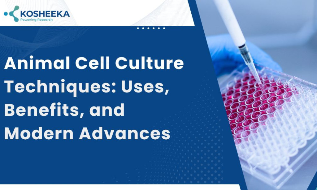 What are Animal Cell Culture Techniques: Uses, Benefits, and Modern Advances?
