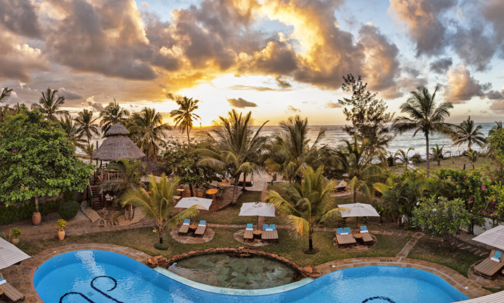 How East Africa Safaris Compare to Southern African Safari Adventures