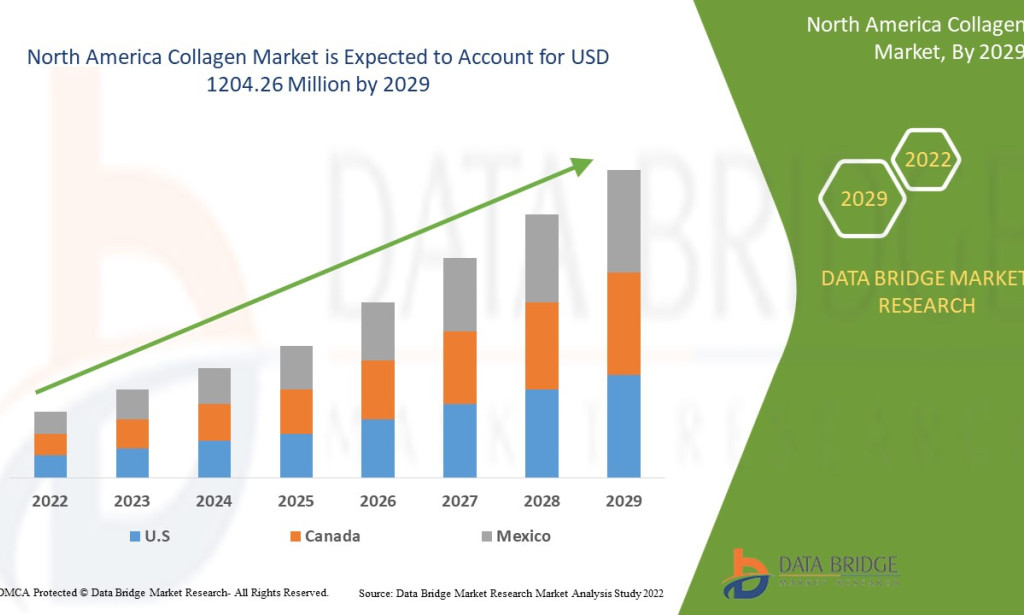 North America Collagen market Size, Share, Trends, Key Drivers, Demand and Opportunity Analysis
