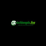 Bxhbongda live