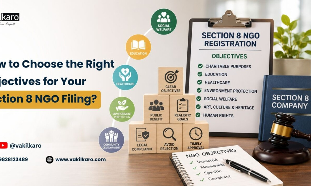 How to Choose the Right Objectives for Your Section 8 NGO Filing?