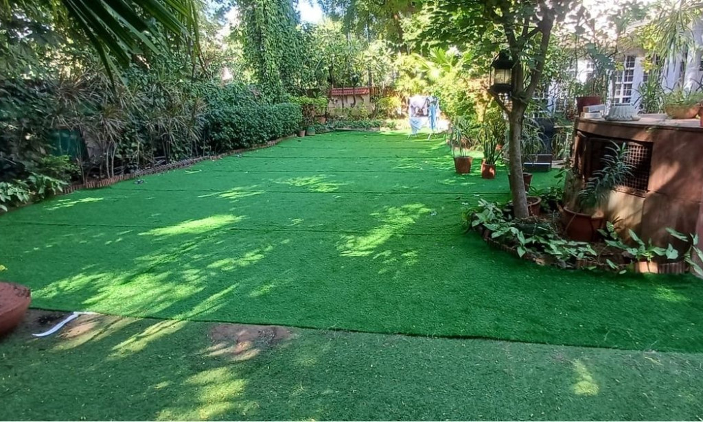 Before You Buy a Lawn: How Natural Grass Dealers Help You Avoid Costly Landscaping Mistakes