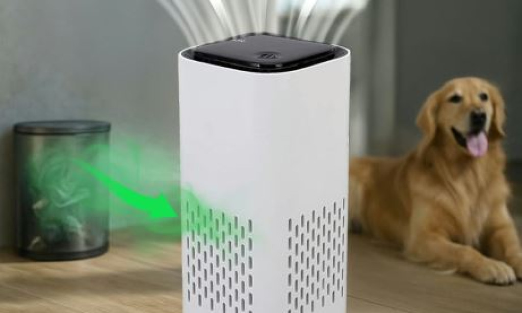 Clairu Mini Air Purifier Review – Does It Work for Allergies, Mold & Odors?