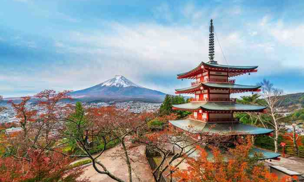 How to Experience Japanese Culture Like a Local Tourist