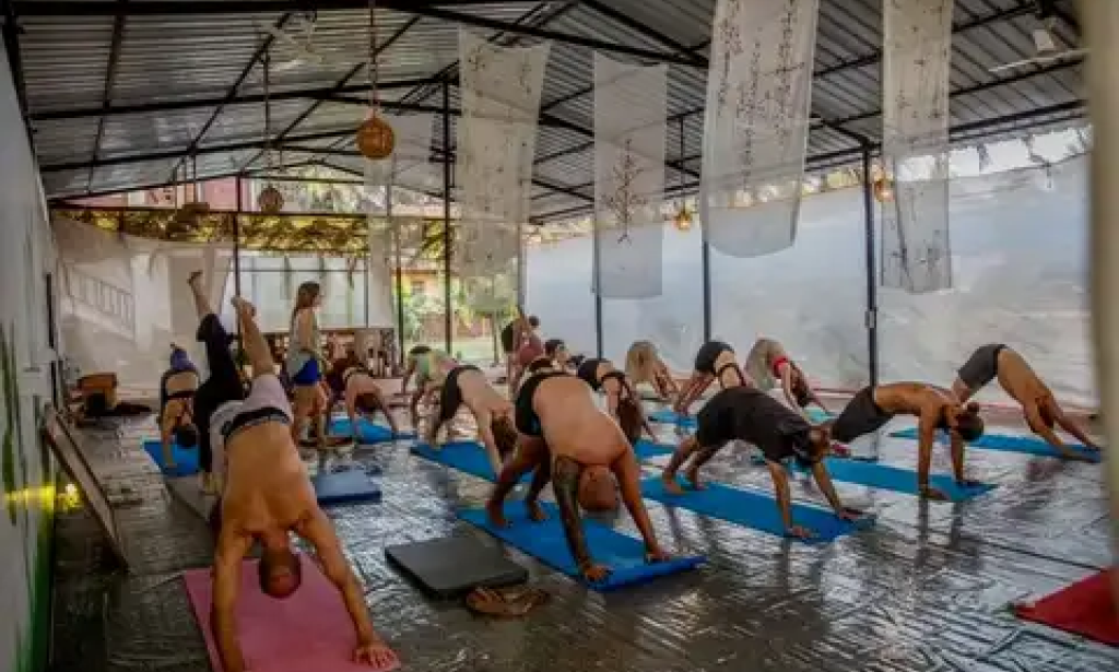 What Is Yoga TTC in Goa and Why Is It the Preferred Choice for Aspiring Yoga Teachers Worldwide?