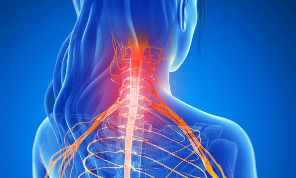 Top 10 Neck Pain Treatment Tips for Fast Relief