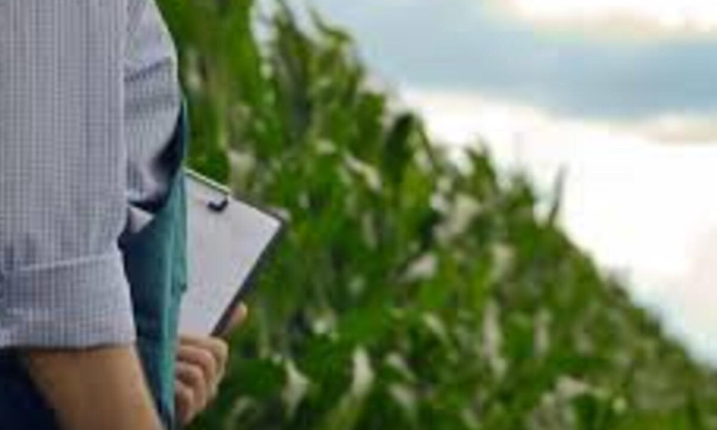 Top 10 Reasons Modern Farms Need Dedicated Agricultural Business Planning