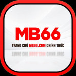 mb66 doctor