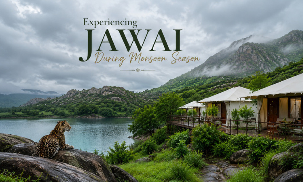 Top 10 Reasons to Visit a Jawai Resort During Monsoon Season
