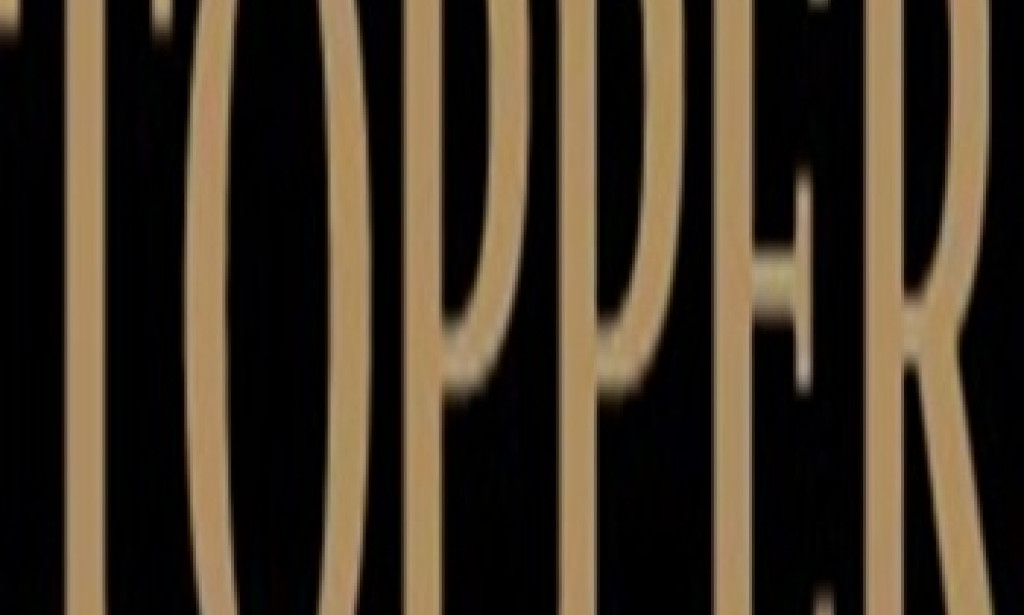 China Topper Forged Parts Co., Ltd.