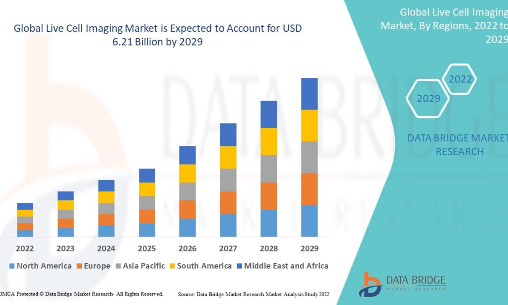 Live Cell Imaging Market Size, Share, Trends, Growth Opportunities, Key Drivers and Competitive Outlook
