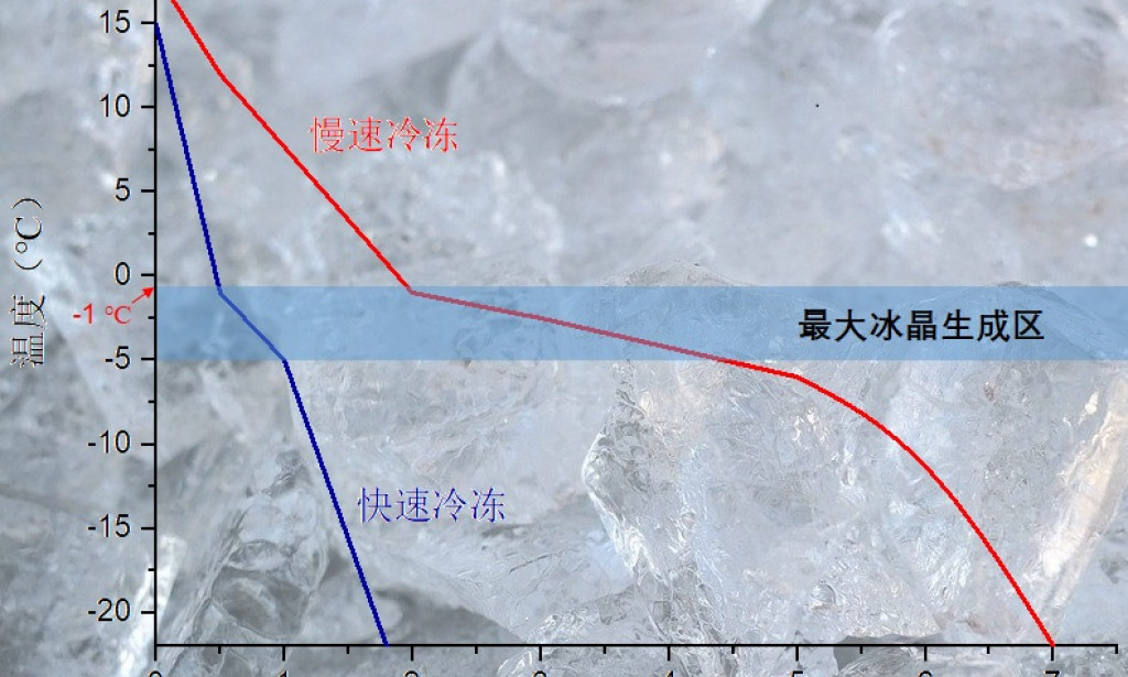 Top Fun Sharing: The Story of Ice Crystals and Frozen Foods (Part 2)