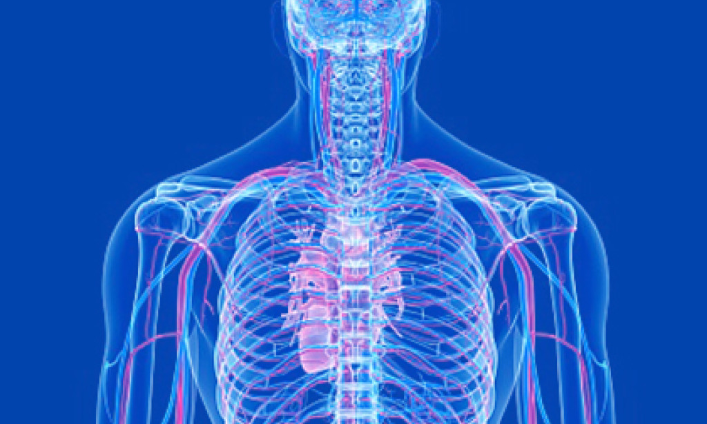 Healthcare Professionals Explore our medical solutions top 10