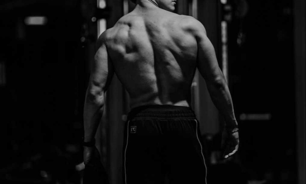 Top SARMs For Bodybuilding: Complete Analysis of Popular Fitness Compounds