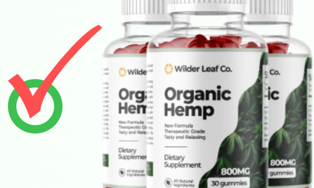 Wilder Leaf Organic Hemp Gummies Australia – Understanding the Formula’s Approach to Supporting a Balanced Lifestyle Naturally?