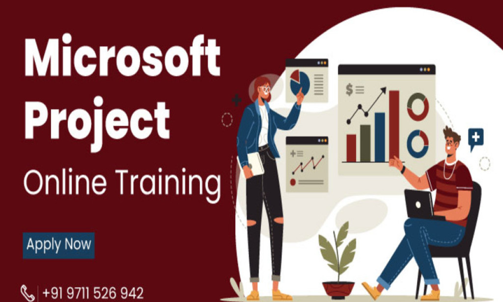 How to Sum Custom Number Fields in MS Project Summary Tasks: What the Rollup Rule Is and Why It Works