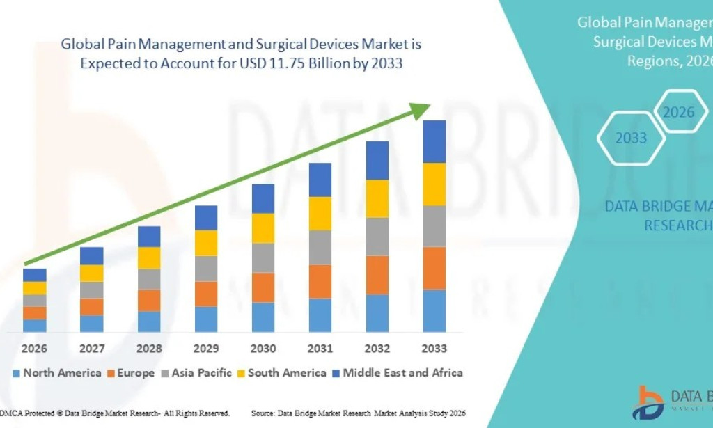 Pain Management and Surgical Devices Market Size, Share, Trends, Growth Opportunities, Key Drivers and Competitive Outlook