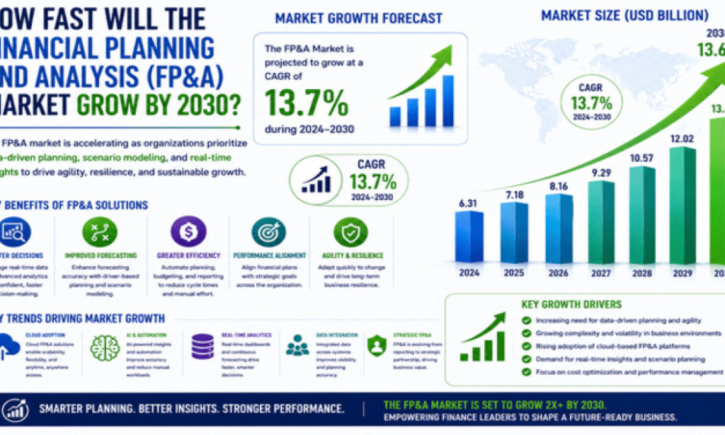 How Fast Will the Financial Planning and Analysis Market Grow by 2030?